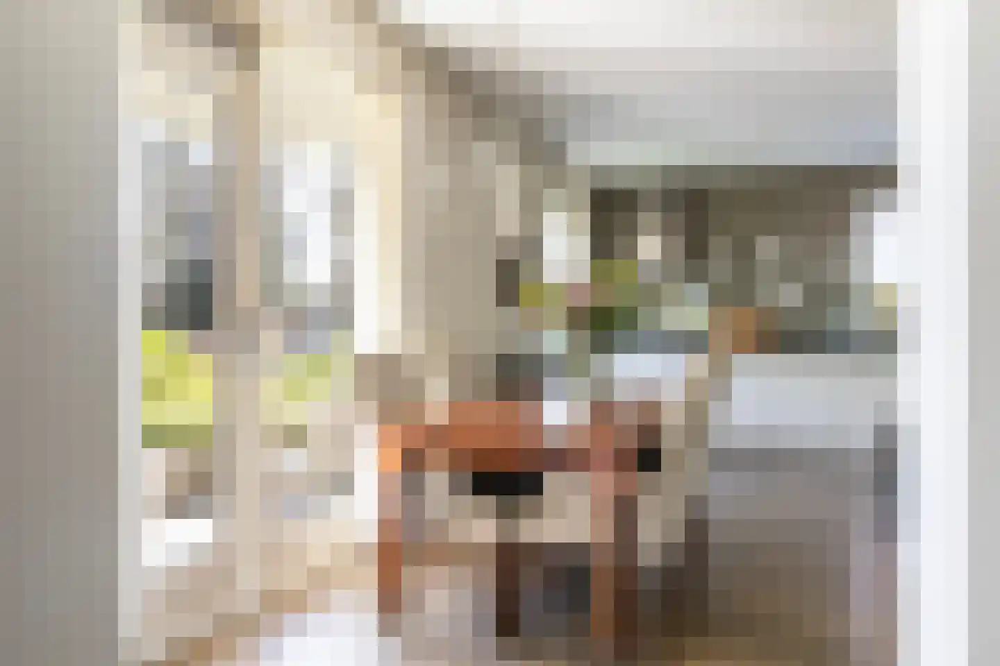 Loolaan 65 D Apeldoorn thumbnail 10