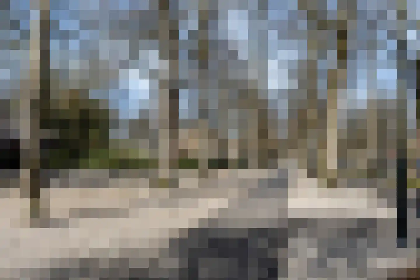 Loolaan 65 D Apeldoorn thumbnail 36