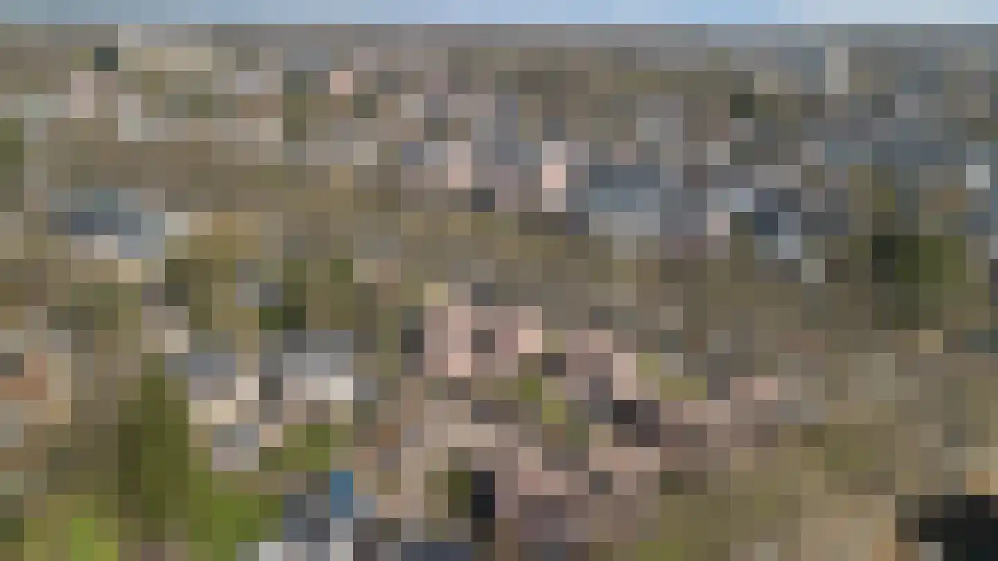 Loolaan 65 D Apeldoorn thumbnail 37