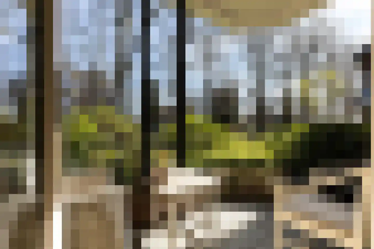 Loolaan 65 D Apeldoorn thumbnail 5