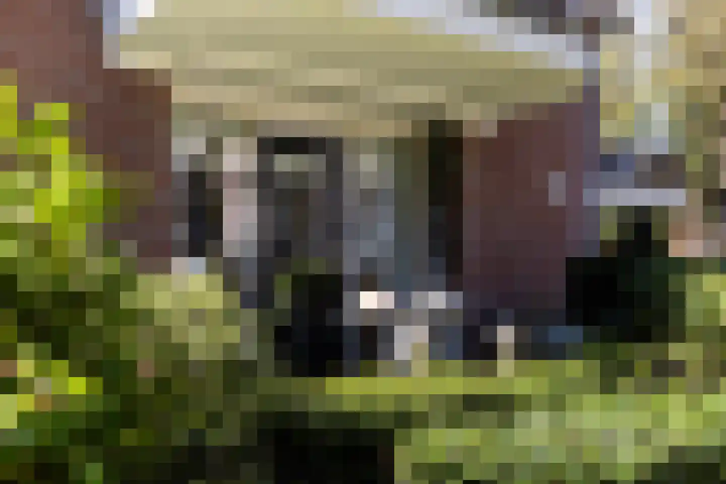 Loolaan 65 D Apeldoorn thumbnail 6