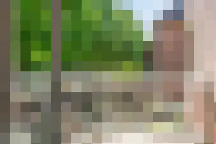 Loolaan 65 F Apeldoorn thumbnail 14