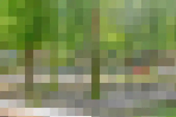 Loolaan 65 F Apeldoorn thumbnail 15