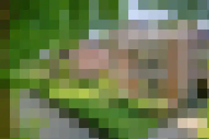 Loolaan 65 F Apeldoorn thumbnail 30