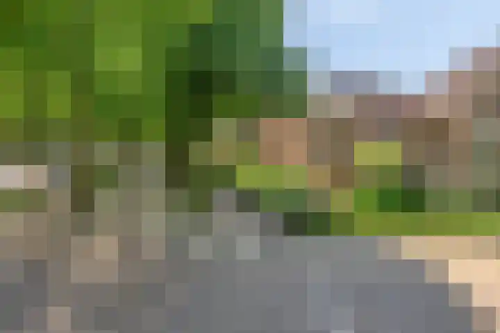 Loolaan 65 F Apeldoorn thumbnail 31