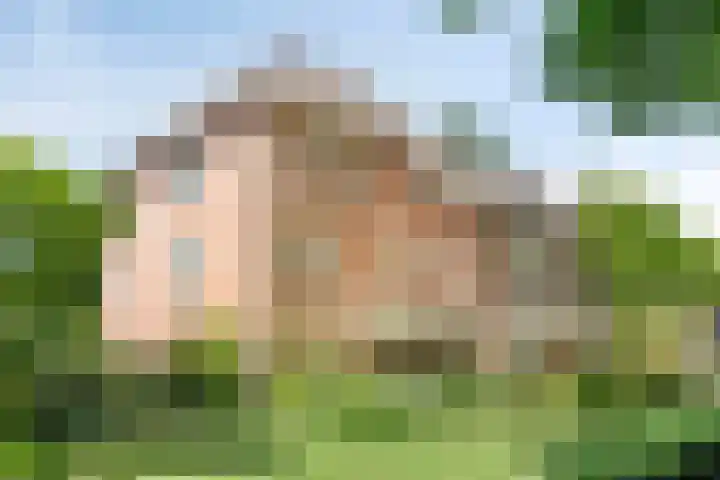 Loolaan 65 F Apeldoorn thumbnail 33