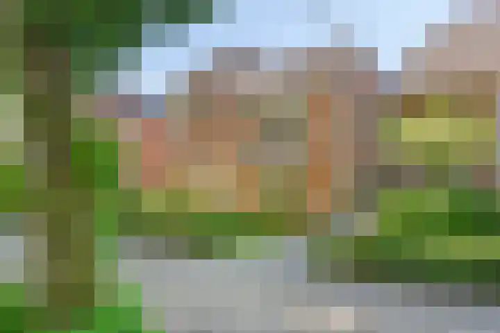 Loolaan 65 F Apeldoorn thumbnail 34