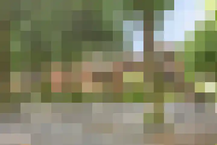 Loolaan 65 F Apeldoorn thumbnail 35