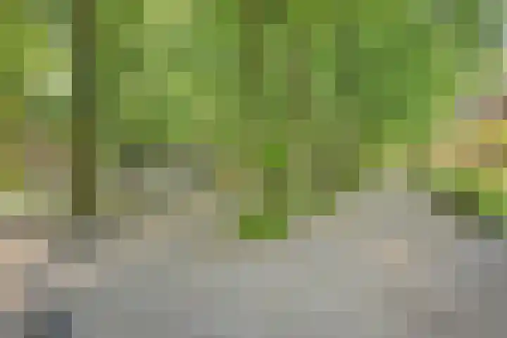 Loolaan 65 F Apeldoorn thumbnail 36