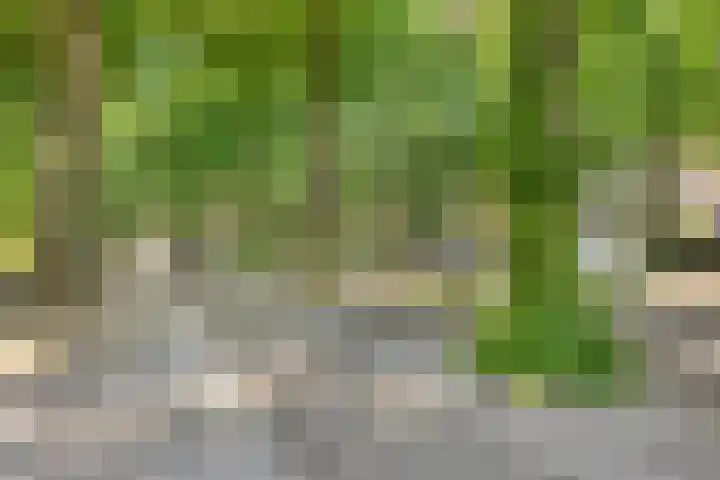 Loolaan 65 F Apeldoorn thumbnail 37