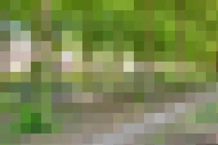 Loolaan 65 F Apeldoorn thumbnail 38