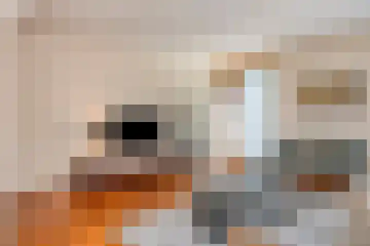 Loolaan 65 F Apeldoorn thumbnail 8