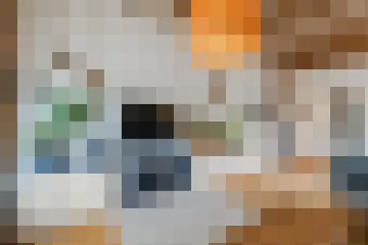Loolaan 66 Driebergen-Rijsenburg thumbnail 11