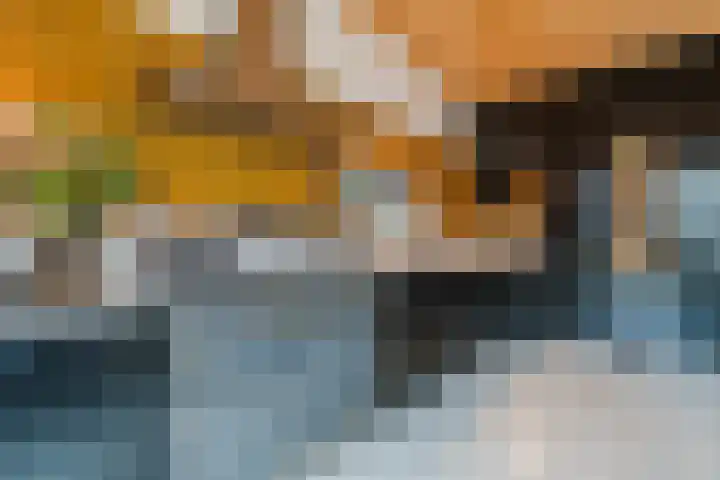 Loolaan 66 Driebergen-Rijsenburg thumbnail 21
