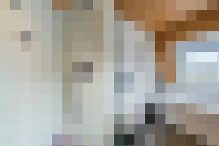 Loolaan 66 Driebergen-Rijsenburg thumbnail 35