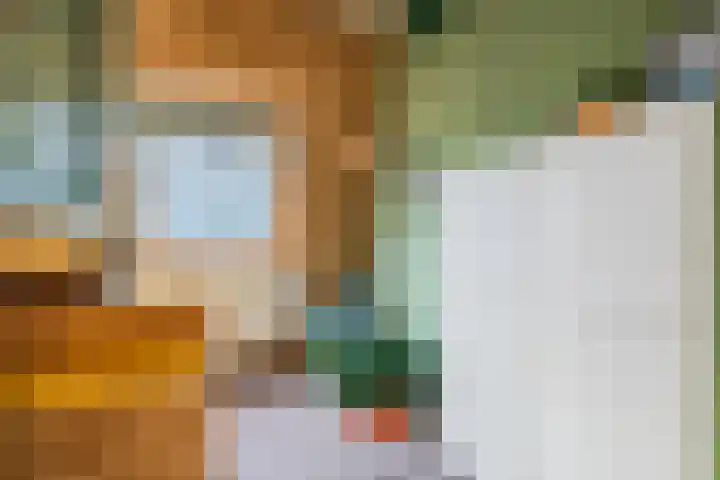 Loolaan 66 Driebergen-Rijsenburg thumbnail 39