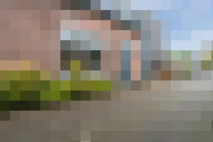 Loolaan 66 Driebergen-Rijsenburg thumbnail 5