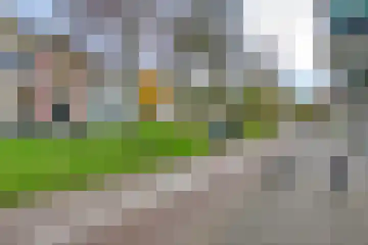Loolaan 7 A Apeldoorn thumbnail 24