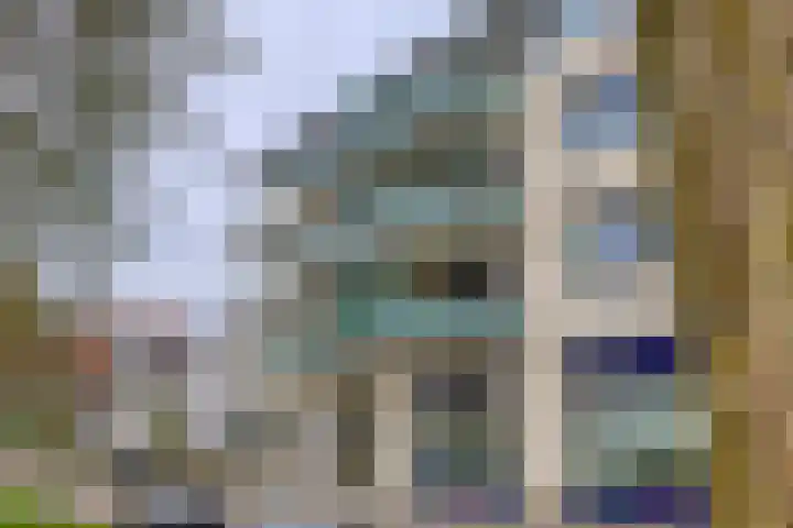 Loolaan 7 A Apeldoorn thumbnail 27