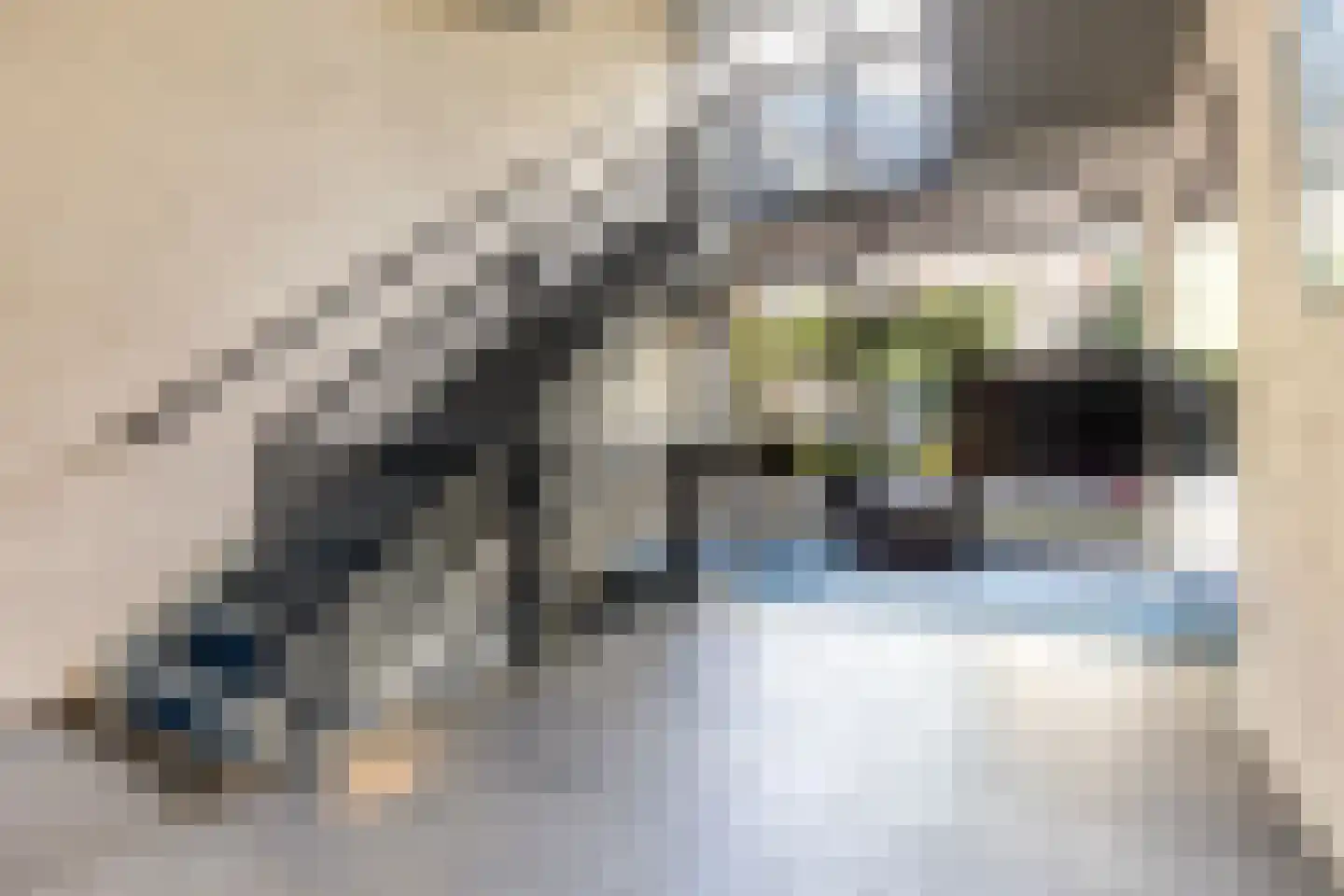 Loolaan 7 C Apeldoorn thumbnail 30