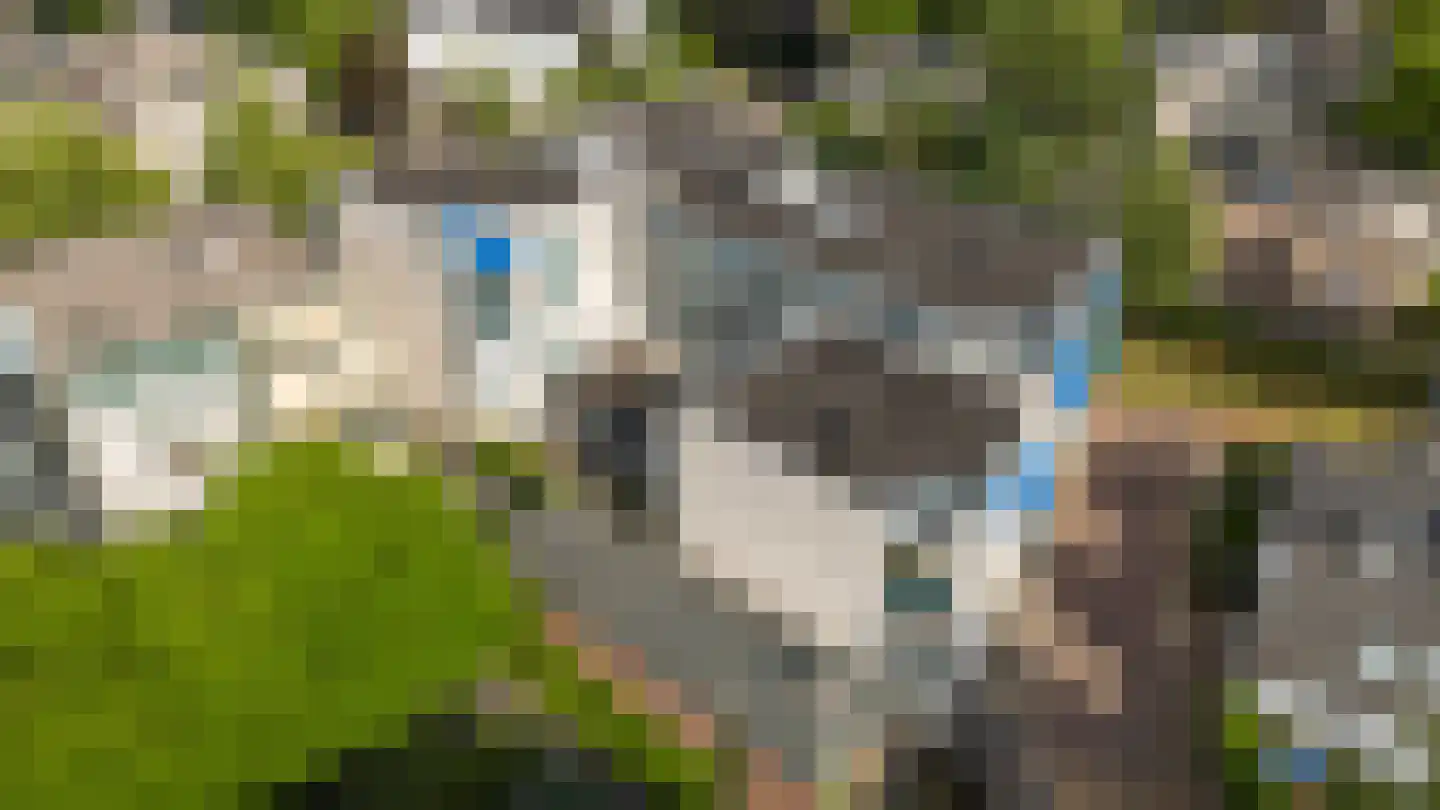 Loolaan 7 C Apeldoorn thumbnail 36