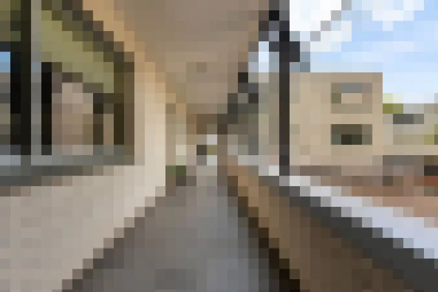 Loolaan 7 C Apeldoorn thumbnail 5
