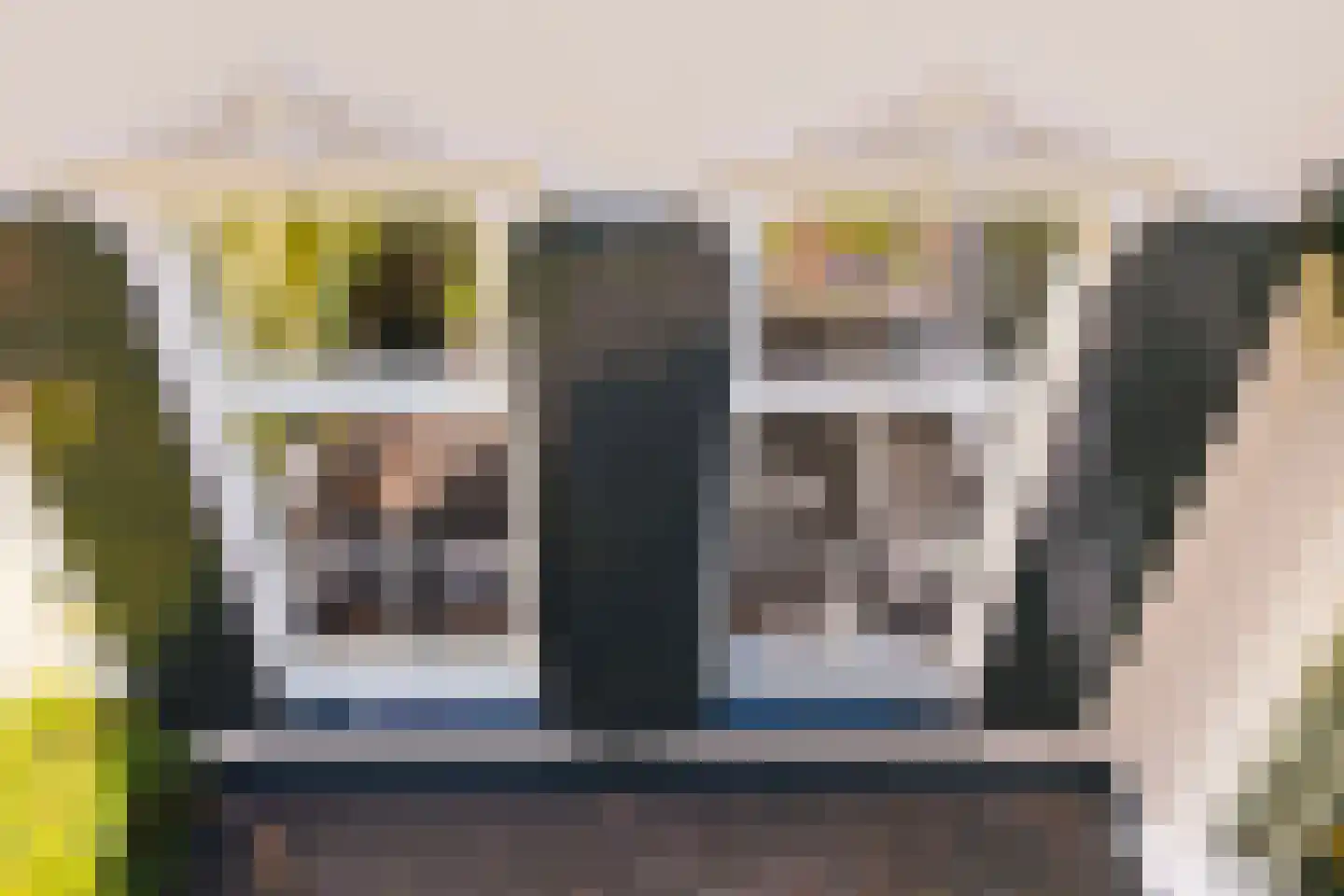 Loolaan 73 Apeldoorn thumbnail 11