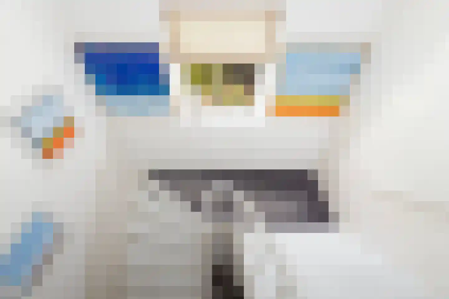 Loolaan 73 Apeldoorn thumbnail 45