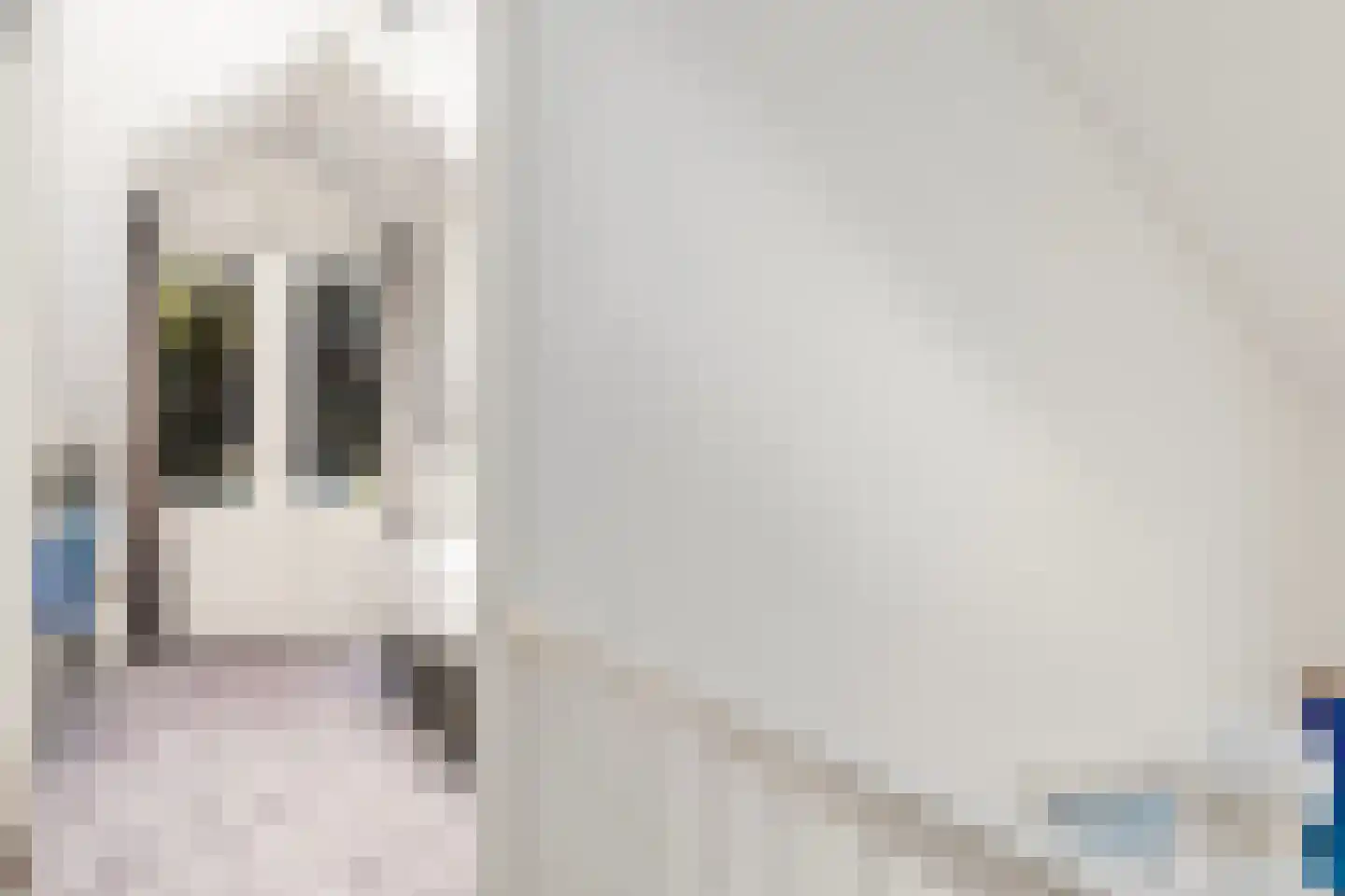 Loolaan 73 Apeldoorn thumbnail 46