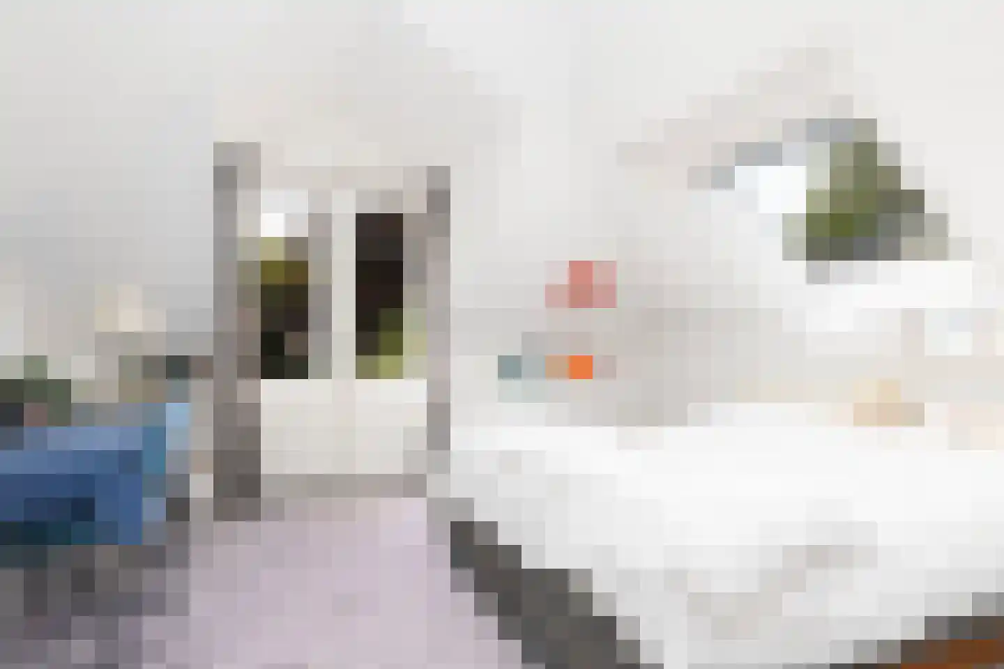 Loolaan 73 Apeldoorn thumbnail 47