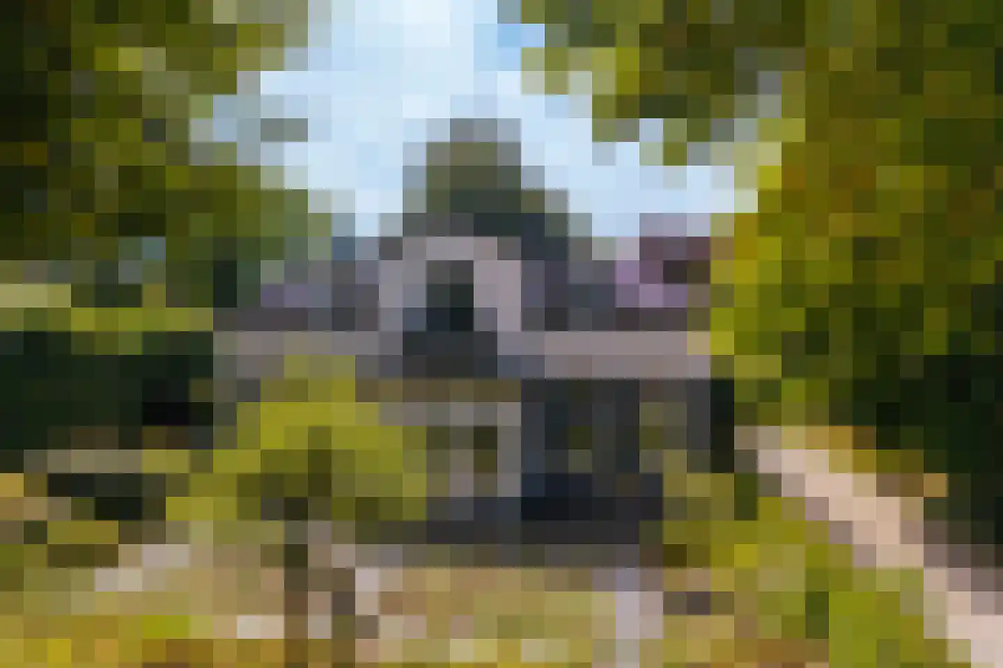 Loolaan 73 Apeldoorn thumbnail 5