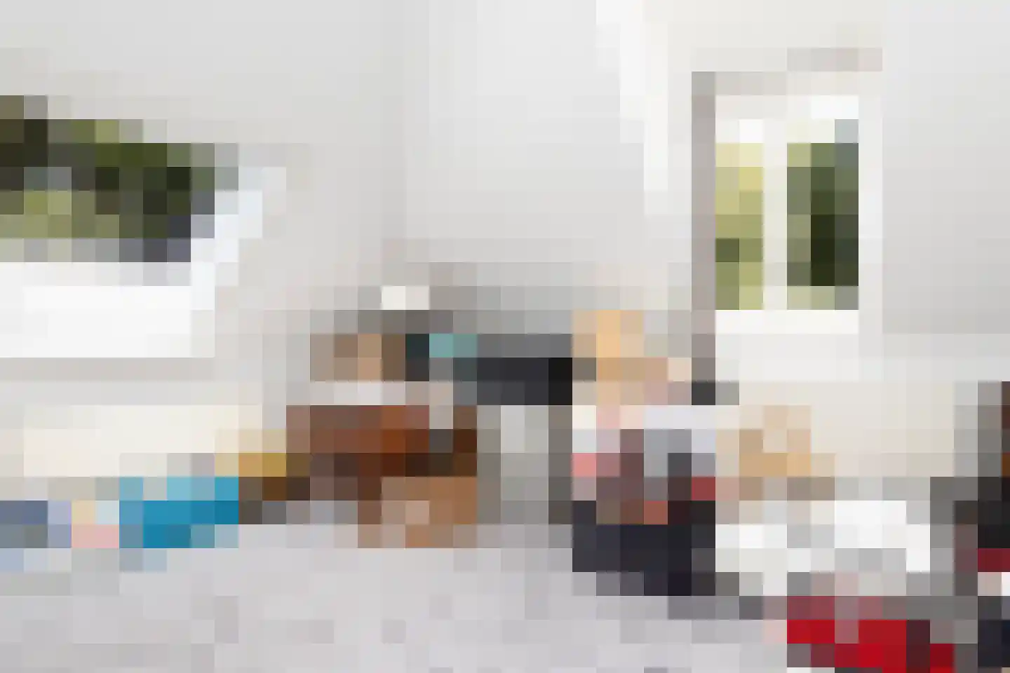 Loolaan 73 Apeldoorn thumbnail 50