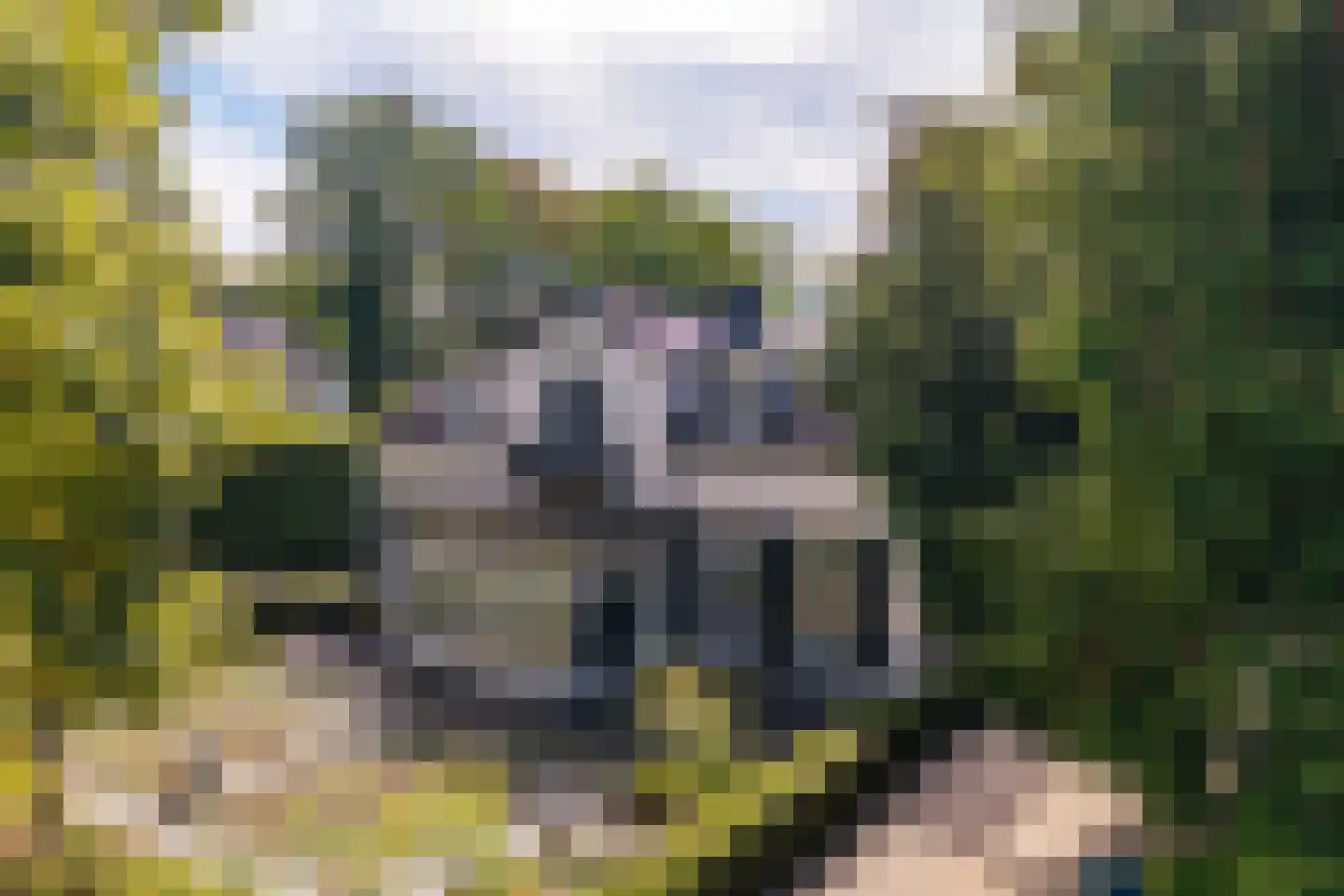 Loolaan 73 Apeldoorn thumbnail 6