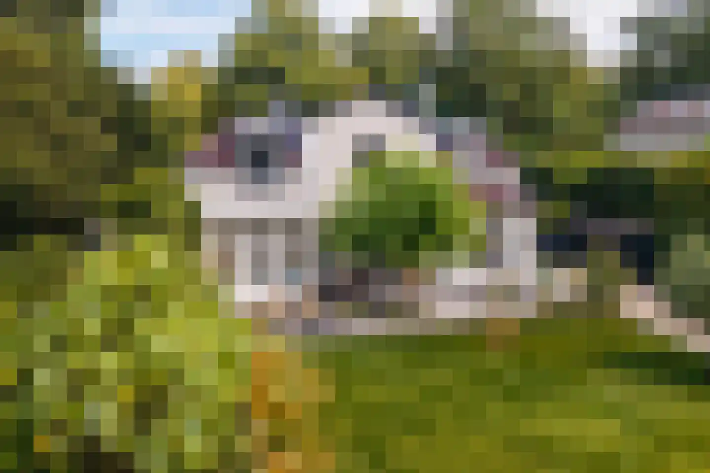 Loolaan 73 Apeldoorn thumbnail 60