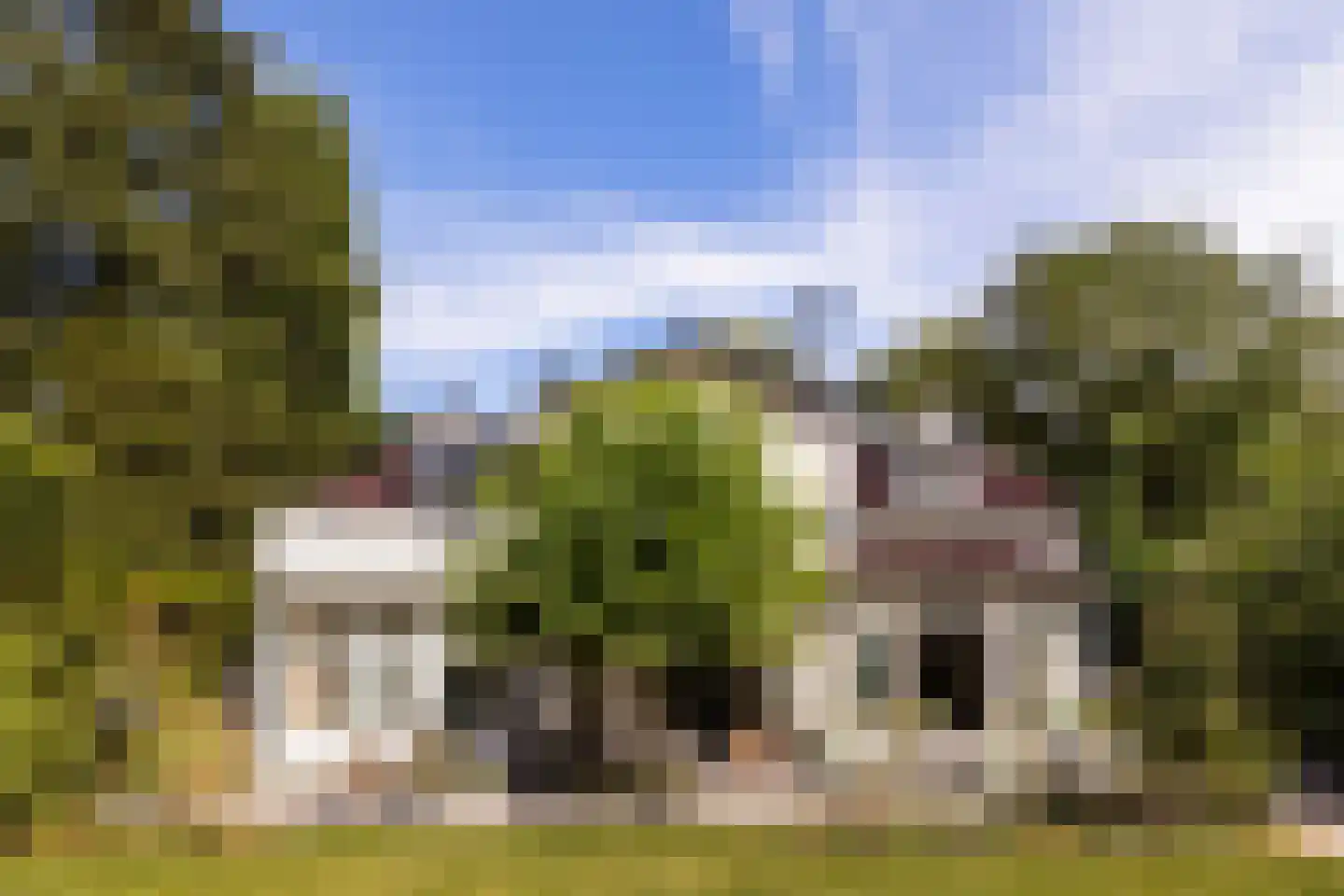 Loolaan 73 Apeldoorn thumbnail 63