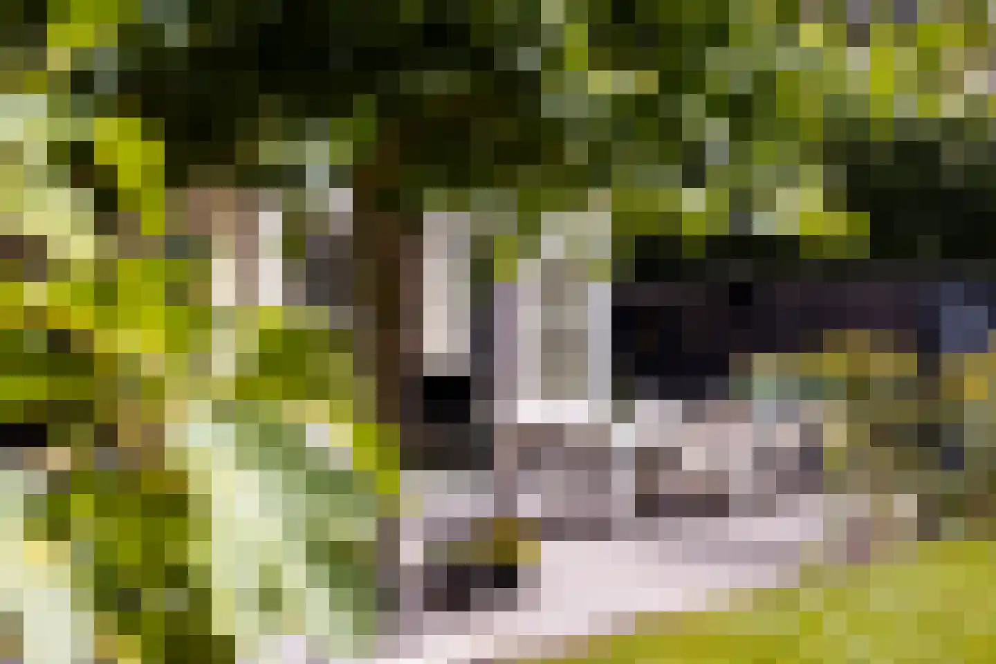 Loolaan 73 Apeldoorn thumbnail 66