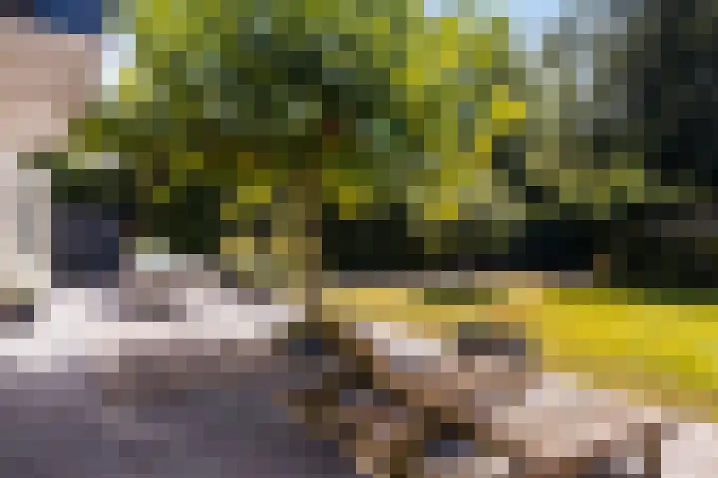 Loolaan 73 Apeldoorn thumbnail 67
