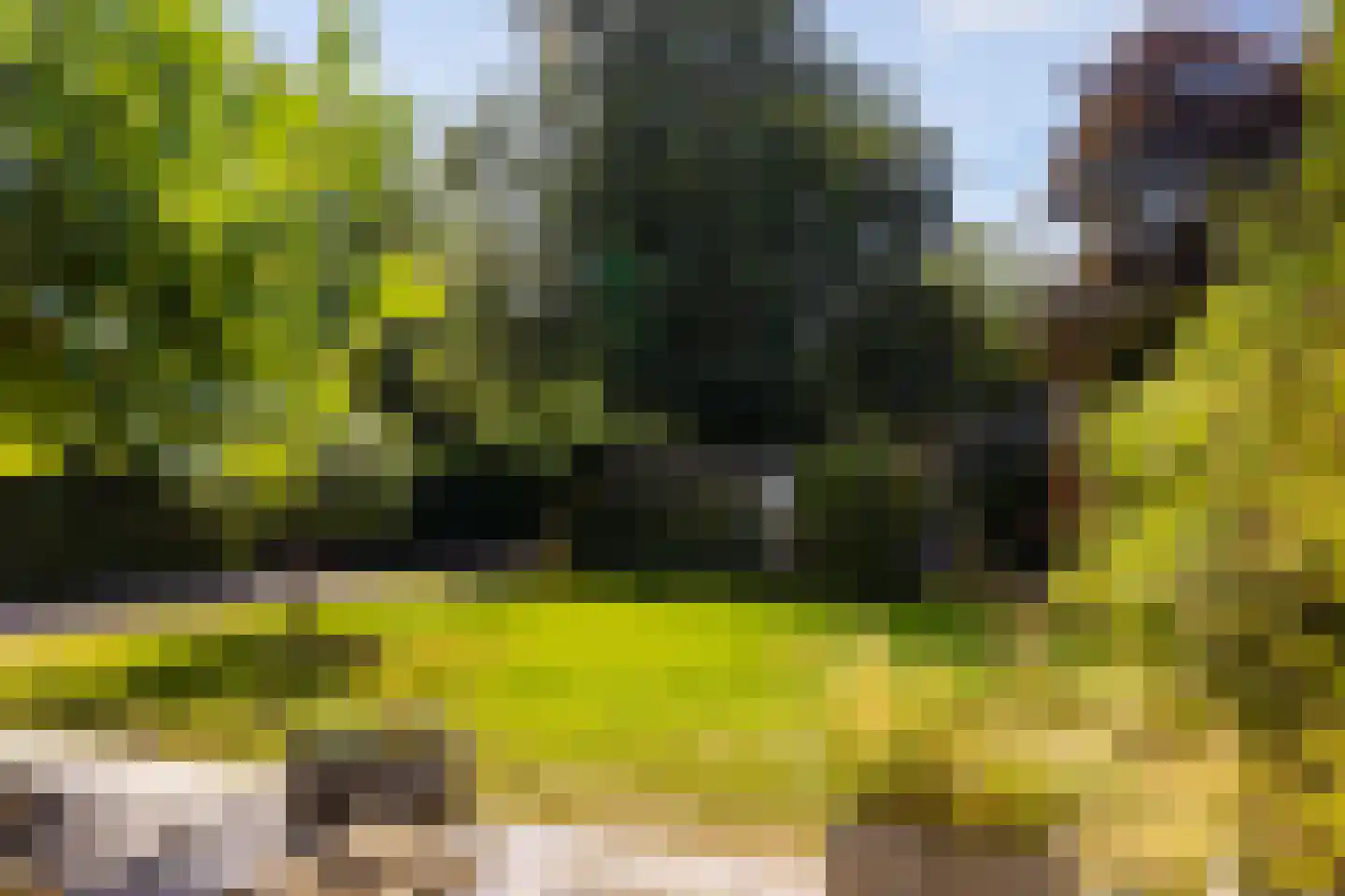 Loolaan 73 Apeldoorn thumbnail 68