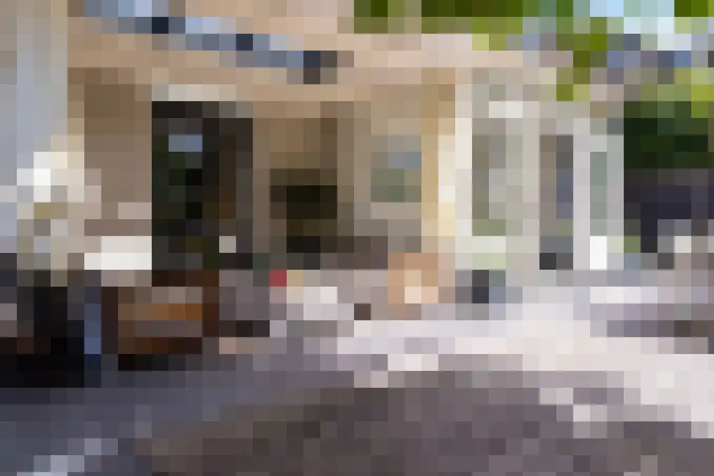 Loolaan 73 Apeldoorn thumbnail 69