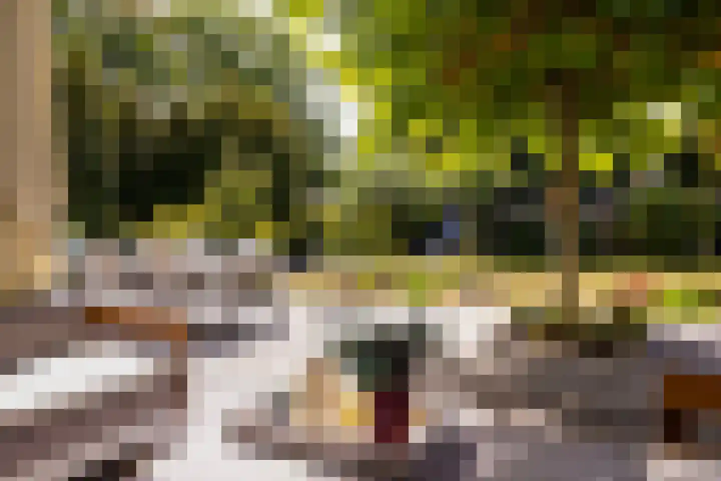 Loolaan 73 Apeldoorn thumbnail 70