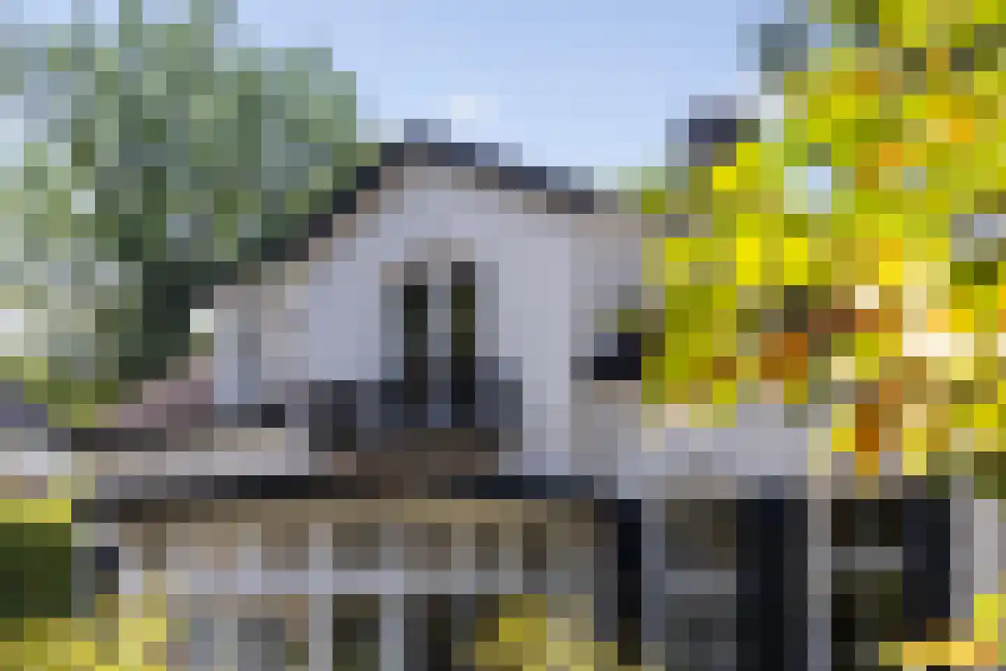 Loolaan 73 Apeldoorn thumbnail 8