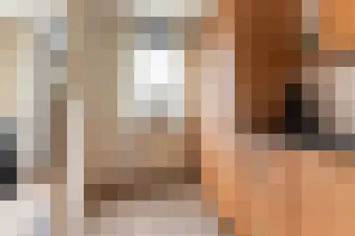 Loolaan 8 H Apeldoorn thumbnail 10