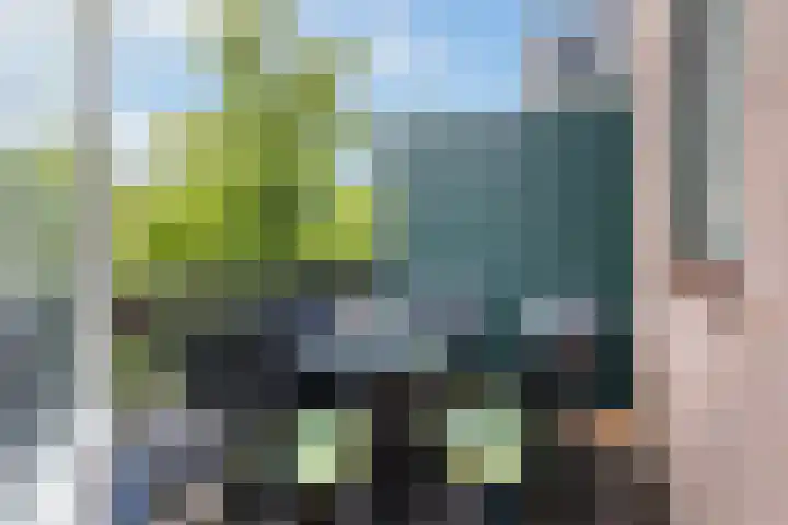 Loolaan 8 H Apeldoorn thumbnail 11