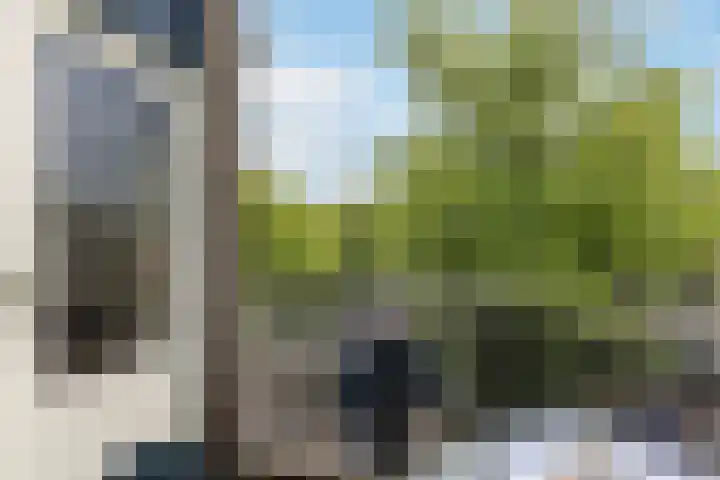 Loolaan 8 H Apeldoorn thumbnail 12