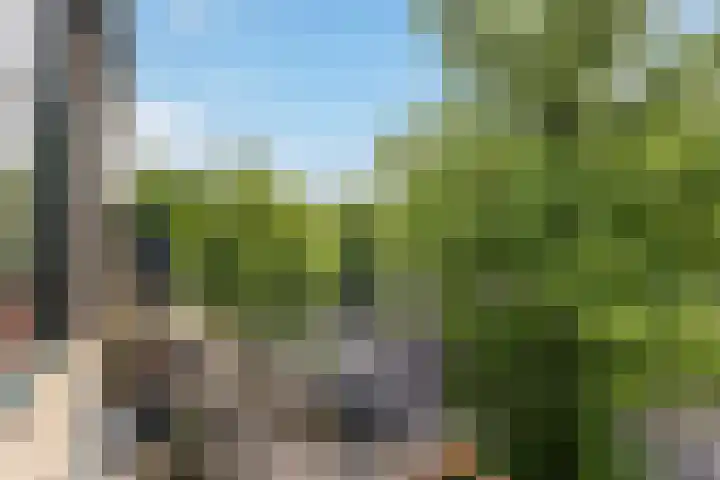 Loolaan 8 H Apeldoorn thumbnail 13