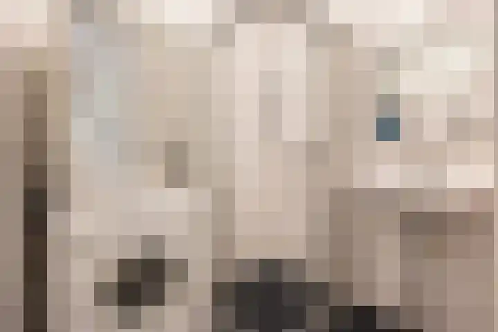 Loolaan 8 H Apeldoorn thumbnail 18