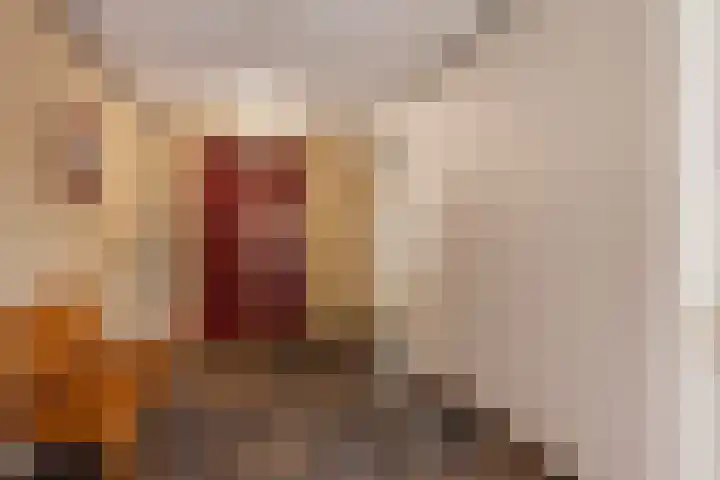 Loolaan 8 H Apeldoorn thumbnail 23