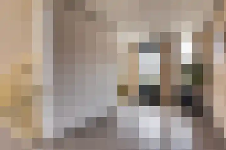Loolaan 8 H Apeldoorn thumbnail 26