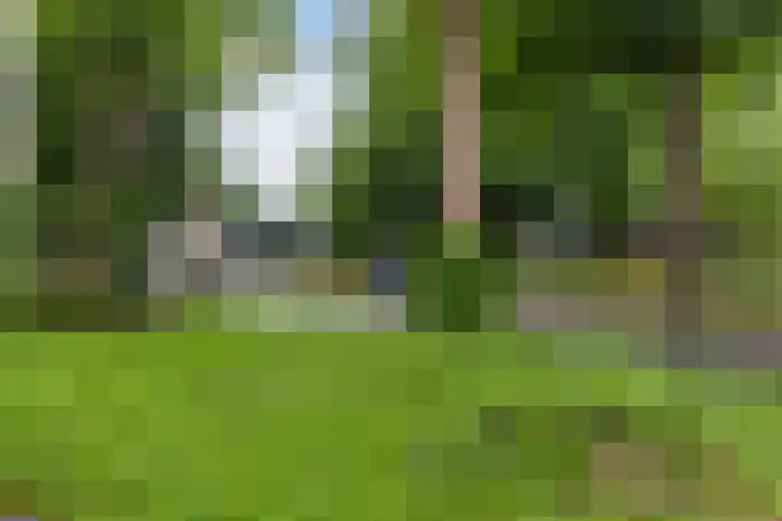 Loolaan 8 H Apeldoorn thumbnail 33