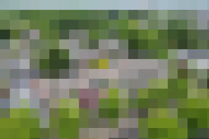 Loolaan 8 H Apeldoorn thumbnail 34